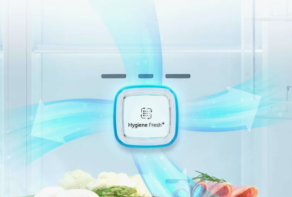 Hygiene Fresh+ в LG GA-B509SVWL: Научный разбор эффективности